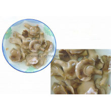 Konservierter Abalone-Pilz